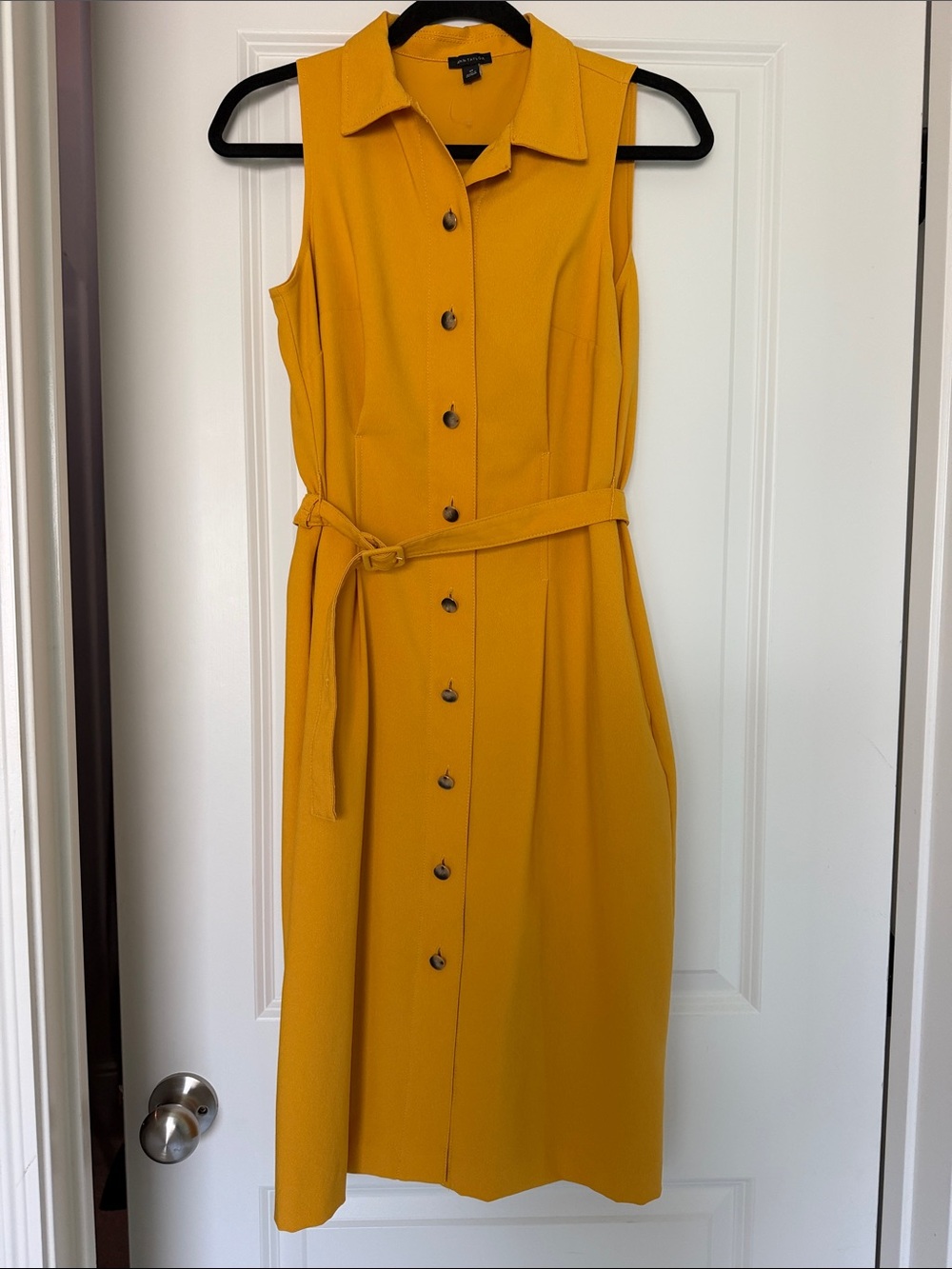 Ann Taylor Dress